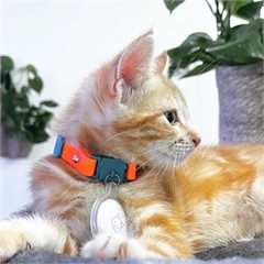 Kittyrama Tangerine Kitten Collar