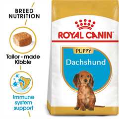 Royal Canin Breed Health Nutrition Dachshund Puppy Dry Dog Food - 1.5kg