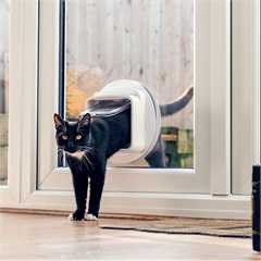 SureFlap Microchip Cat Flap Connect with Hub
