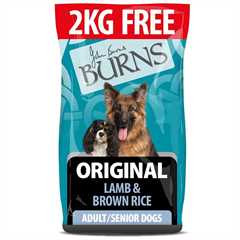 Burns Original Adult Dry Dog Food - Lamb & Brown Rice - 12kg + 2kg FREE