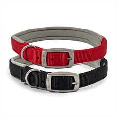 Ancol Viva Padded Dog Collar