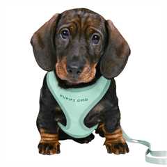 Trixie Soft Puppy Harness with Lead