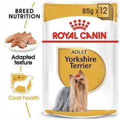 Royal Canin Breed Health Nutrition Yorkshire Terrier Adult Wet Dog Food -12x85g Pouches