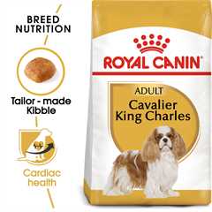 Royal Canin Breed Health Nutrition Cavalier King Charles Adult Dry Dog Food - 1.5kg