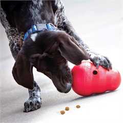 KONG Wobbler - Large