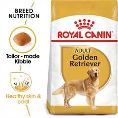 Royal Canin Breed Health Nutrition Golden Retriever Adult Dry Dog Food - 3kg