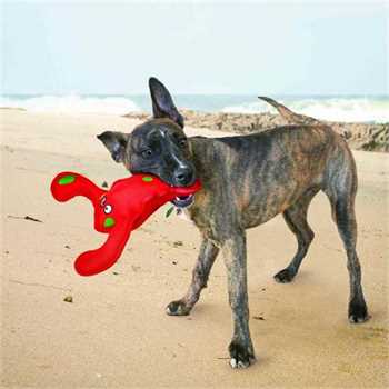 KONG Belly Flops Lobster Dog Toy - Medium