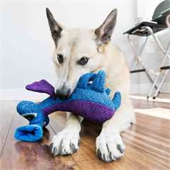 KONG Woozles Squeaker Blue Dog Toy - Medium