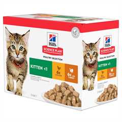 Hills Science Plan Kitten Wet Cat Food in Gravy - Chicken & Turkey – 12x85g Pouches