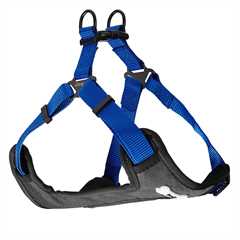 Bunty Strap N Strole Harness - Blue - Medium 40-62cm
