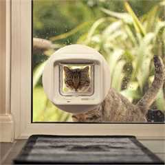 Sureflap DualScan Microchip Cat Flap