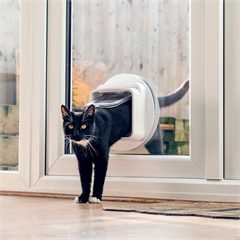 SureFlap Microchip Cat Flap Connect 