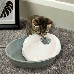 Pioneer Pet Serenity Cat Fountain