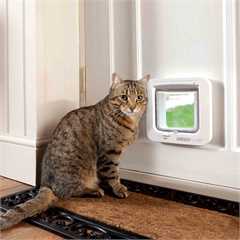 Sureflap Microchip Cat Flap