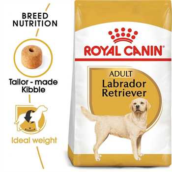 Royal Canin Breed Health Nutrition Labrador Retriever Adult Dry Dog Food - 12kg