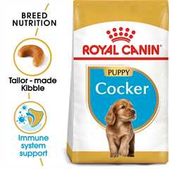 Royal Canin Breed Health Nutrition Cocker Puppy Dry Dog Food - 3kg