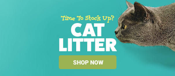 Cat Litter - Time To Stock Up?