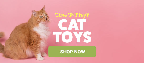 Cat Toys