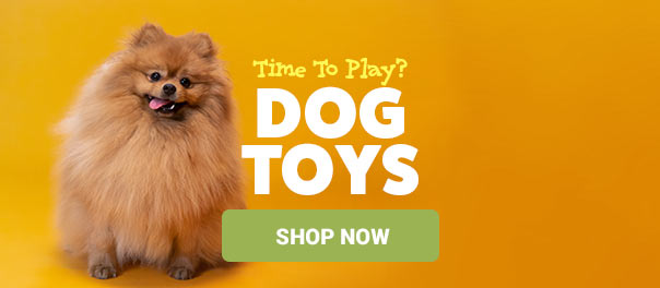 Dog Toys