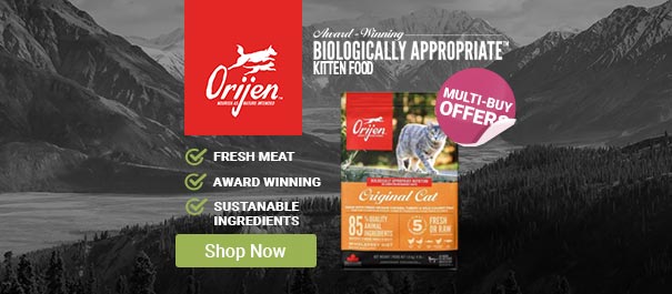 Orijen Kitten Food