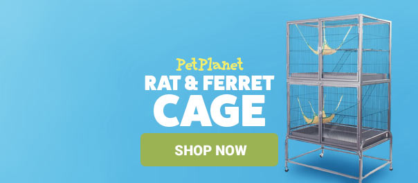Rat & Ferret Cage by PetPlanet