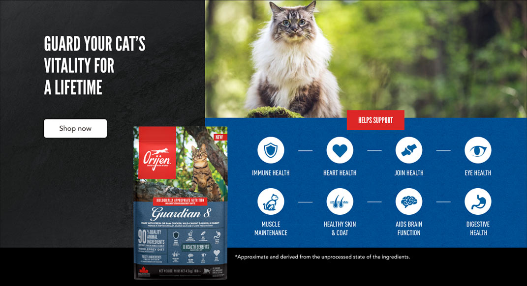 Guard Your cat's Vitality For A Lifetime - Shop Now