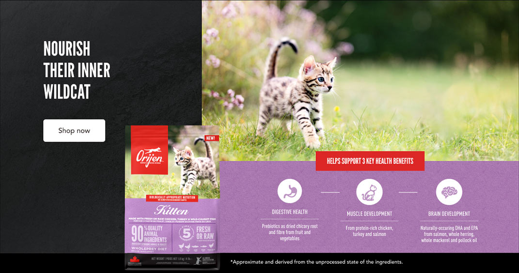 Nourish Their Inner Wildcat - Shop Now