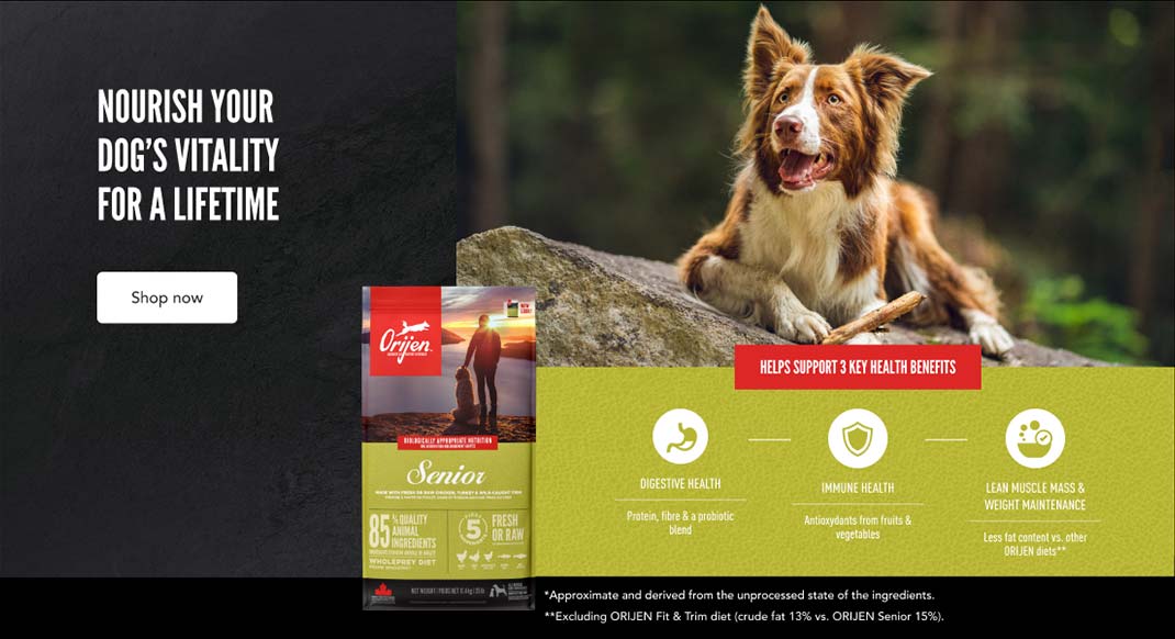Nourish Your Dog's Vitality - Shop Now