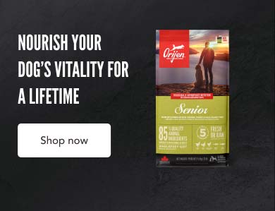 Nourish Your Dog's Vitality - Shop Now