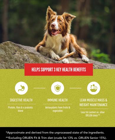 Helps Support Digestive Health, Immune Health and Lean Muscle Mass & Weight Maintenance