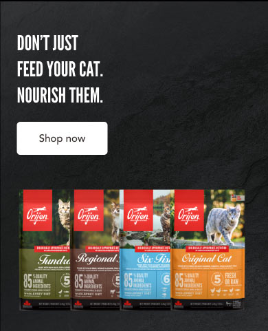 Don't Just Feed Your cat. Nourish Them - Shop Now