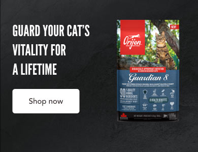 Guard Your cat's Vitality For A Lifetime - Shop Now