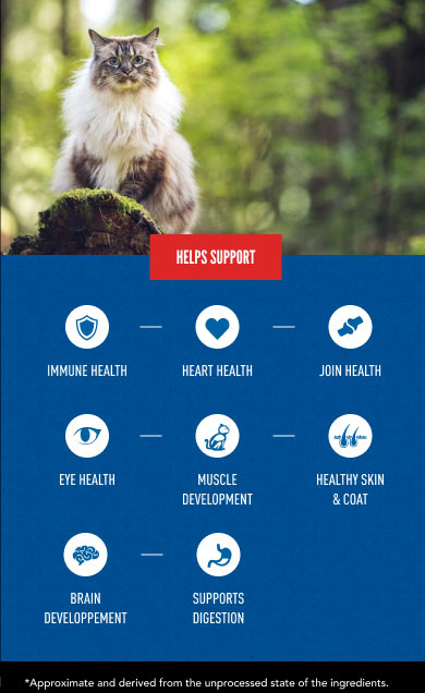 Helps Support Immune System, Healthy Heart, Joint Health, Eye Health and more