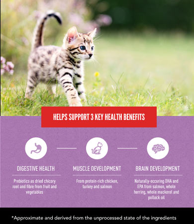 Helps Support Digestive Health, Muscle Development and Brain Development