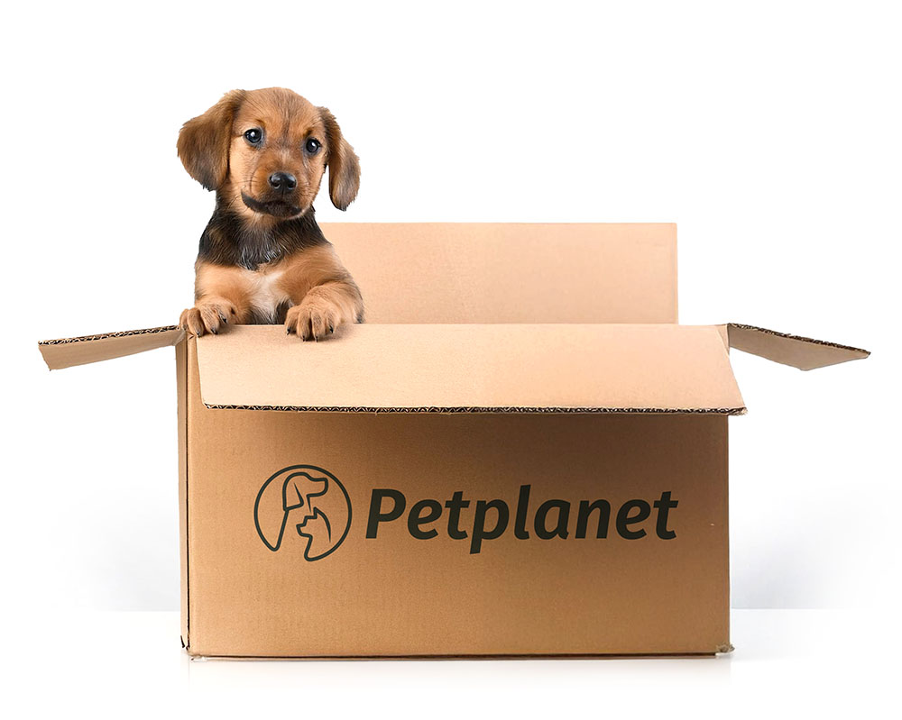 Empty box with dog to show your basket is empty